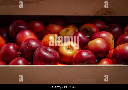Äpfel in Holzkiste. schöne rote und gelbe Früchte in Braun. Stockfoto