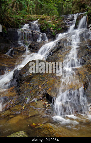 Kleiner Bach im Regenwald. Es macht den kleinen, aber sehr schönen Wasserfall Stockfoto