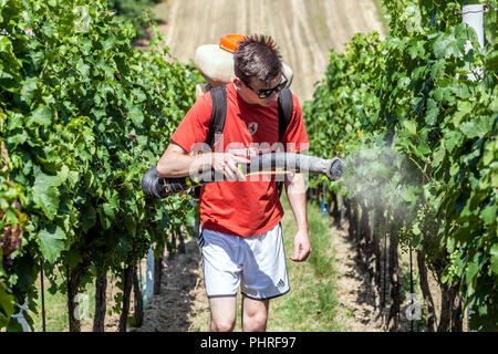 Junger Mann mit Schutzspray im Weinberg, Südmähren, Tschechische Republik Farmer Europa Stockfoto