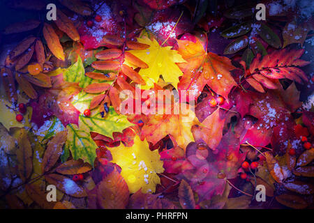 Buntes Herbstlaub Hintergrund Stockfoto
