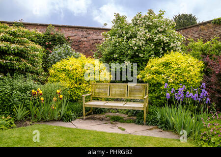 3 Sitzer Holzbank im Sommer Garten mit blühenden Pflanzen und Sträuchern. Stockfoto