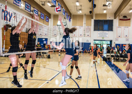 Mittlerer Blocker für Neuling West Ranch's High School - sophomore volleyball Team verwendet finese Kugel hinter der Verteidigung der Newbury Park während der westla zu drücken Stockfoto