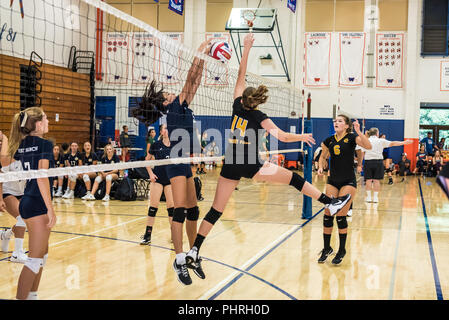 Mittlerer Blocker für Neuling Newbury Park's High School - sophomore volleyball Team mal ihr Sprung perfekt von West Ranch während der westla zu schlagen Block Stockfoto