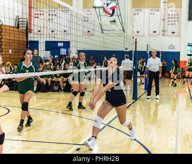 Außerhalb hitter für Neuling/sophomore Volleyball team West Ranch High School's Rennen Ball auf Verteidigung als Moorpark team Abrufen sieht während der West Stockfoto