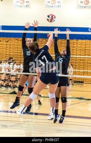 Mittlerer Blocker für Neuling West Ranch's High School - sophomore volleyball Team mal Ihr jump Ball zwischen den Buena Verteidiger zu schlagen während der Westl Stockfoto