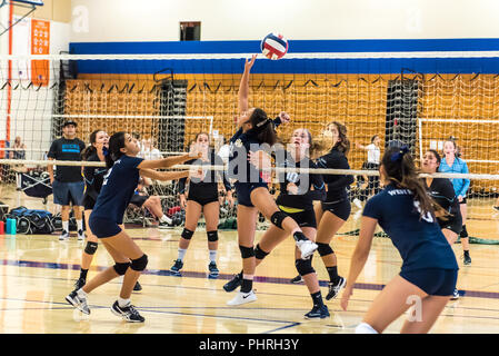 Mittlerer Blocker für Neuling West Ranch's High School - sophomore volleyball Team nutzt Ihre Fingerspitzen Kugel über Netz zu drücken, als Buena's Defence du reagiert Stockfoto