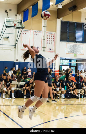 West Ranch High School Volleyball pleyer vom Neuling - sophomore Team springt hoch in die Luft zu schlagen, ihr während des Spiels von Westlake dienen, Kalifornien t Stockfoto