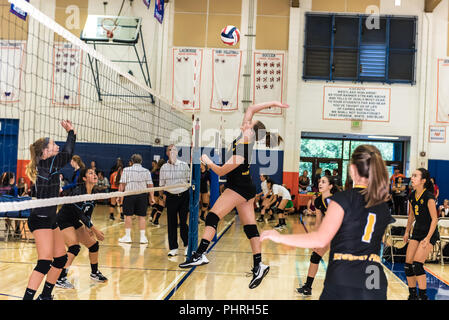 Äußeres hitter für Newbury Park Neuling/sophomore High School Volleyball Team ist oben in der Luft bereit, den Ball während Westlake, Kalifornien zu schlagen Stockfoto