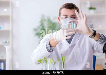 Männliche Biochemiker im Labor arbeiten an Pflanzen Stockfoto