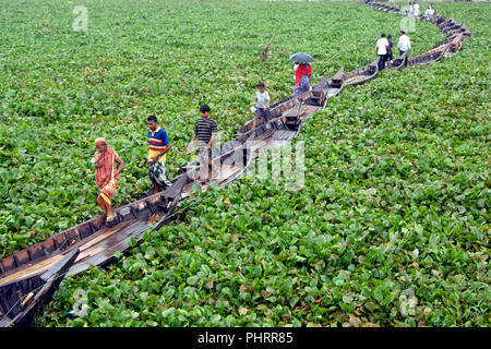 Dhaka, Bangladesch - 17. August 2008: Boote auf dem Fluss Buriganga Band eine behelfsmäßige Brücke zu bilden, wie Wasserhyazinthen Bewegung der Boote behindern Stockfoto