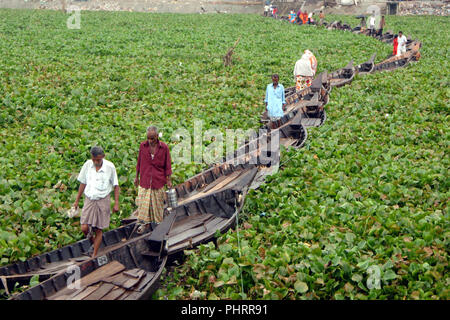 Dhaka, Bangladesch - 17. August 2008: Boote auf dem Fluss Buriganga Band eine behelfsmäßige Brücke zu bilden, wie Wasserhyazinthen Bewegung der Boote behindern Stockfoto