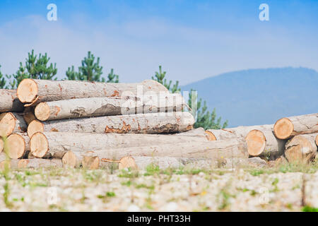 Stapel von Holz- Protokolle unter blauem Himmel in den Karpaten Stockfoto