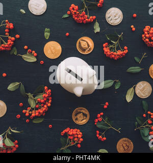 Flach piggy Bank und cryptocurrency Münze Münzen auf dunklem Hintergrund mit Wild Berry Obst Anordnung eingerichtet, Ansicht von oben Overhead shot Stockfoto