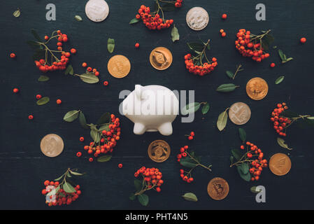 Flach piggy Bank und cryptocurrency Münze Münzen auf dunklem Hintergrund mit Wild Berry Obst Anordnung eingerichtet, Ansicht von oben Overhead shot Stockfoto