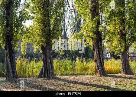 Mestsky oder City Park in der Altstadt von Kosice, Slowakei. Kosice wurde die Europäische Kulturhauptstadt im Jahr 2013. Stockfoto