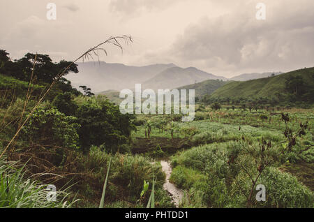 Fluss, Plantagen, in den Bergen und üppiger tropischer Vegetation an bewölkten Tag am Ring Road, Kamerun, Afrika. Stockfoto