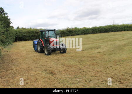 Ein Roter Traktor in einem Feld mit Hecken Stockfoto