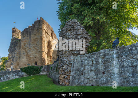 Knaresborough Castle ist eine zerstörte Festung mit Blick auf den Fluss Nidd in der Stadt Knaresborough, North Yorkshire, England Stockfoto