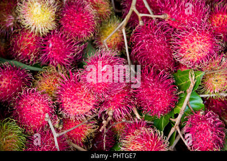 Horizontale Nahaufnahme von rambutan. Stockfoto