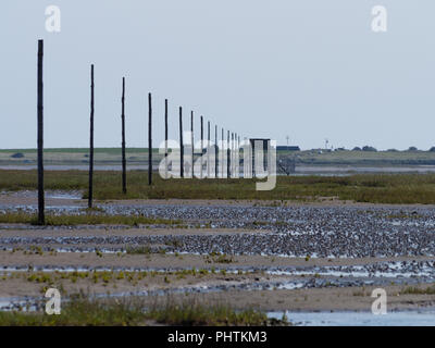 Pilgrim's Way, Lindisfarne, Northumberland, der Fußweg über die Sands Stockfoto