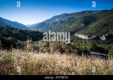 Landschaft mit Mount Ventoux in der Nacht, Provence, Frankreich, Italien. Stockfoto