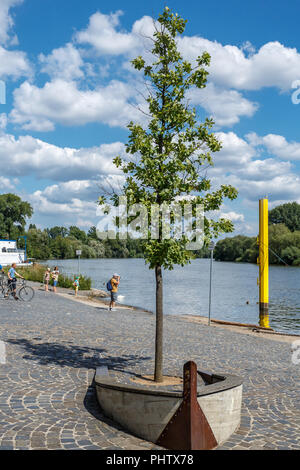 FRANKFURT AM MAIN, Deutschland - August 06, 2017: Park an der Nidda in Frankfurt am Main. Stockfoto