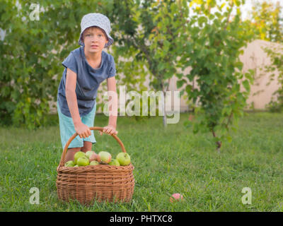 Cute boy hilft Eltern Ernte zu sammeln. Obst Garten Hintergrund mit vollem Korb von grünen Äpfeln. Stockfoto