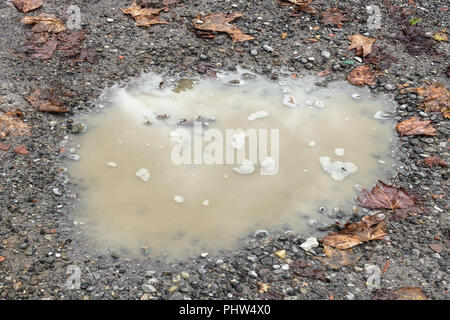 Regen Pfütze Stockfoto