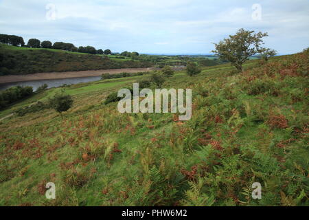 Meldon Reservoir, Nationalpark Dartmoor, Devon, England, Großbritannien Stockfoto