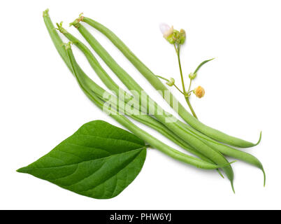 Grüne Bohnen, Isolated on White Background Stockfoto