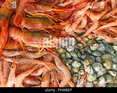 Verschiedene Arten von srimps und Muscheln an einem Ort Stockfoto