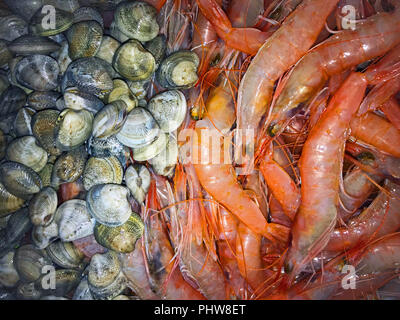 Grau Rot große Garnelen und Muscheln, Makro Stockfoto