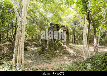 Kambodscha Kampong Thom Tempel SAMBOR PREI KUK Stockfoto