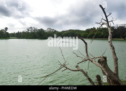 Rabindra Sarobar (bisher als dhakuria See genannt) ist ein künstlicher See in South Kolkata im indischen Bundesstaat Westbengalen. Stockfoto