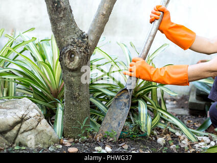 Frau, Gartenarbeit mit Schaufel Stockfoto