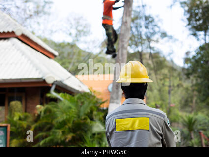 Elektriker Störungssucher Handwerker Arbeiter auf elektrische post Strommast Stockfoto