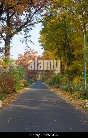 Straße im autmn Stockfoto