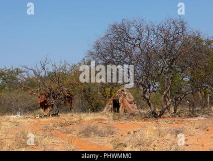 Batwa Stamm Hütten, Cunene Provinz, Oncocua, Angola Stockfoto