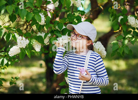 Kind Mädchen riechenden weißen Flieder Blumen im Garten. Selektive konzentrieren. Stockfoto