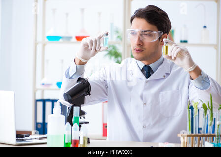 Männliche Biochemiker im Labor arbeiten an Pflanzen Stockfoto