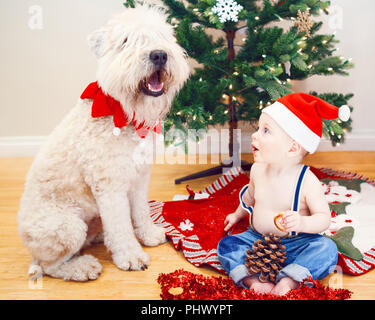 Candid lifestyle Portrait von glücklich überrascht Lustig weiß Kaukasische baby boy im neuen Jahr Weihnachten Santa Hut sitzen auf dem Boden innen zu Hause loking auf Stockfoto