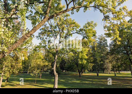 Mestsky oder City Park in der Altstadt von Kosice, Slowakei. Kosice wurde die Europäische Kulturhauptstadt im Jahr 2013. Stockfoto