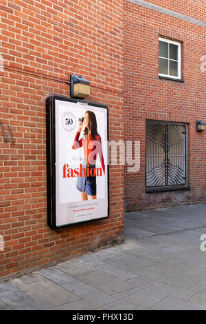 Poster von einer Frau mit einem retro Film Kamera feiert 50-jähriges Jubiläum des Alten George Einkaufszentrum in Salisbury GROSSBRITANNIEN Stockfoto