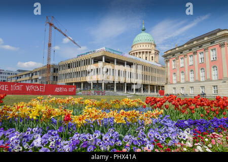 Fachhochschule, Landtag, Nikolaikirche, am Alten Markt, Potsdam, Brandenburg, Deutschland Stockfoto