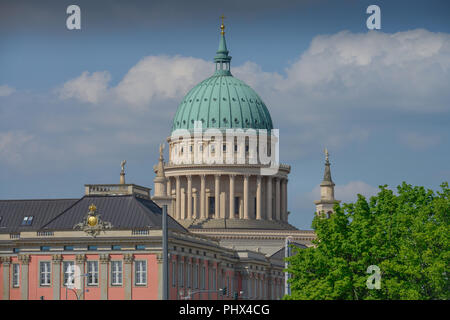 Landtag, Nikolaikirche, am Alten Markt, Potsdam, Brandenburg, Deutschland Stockfoto