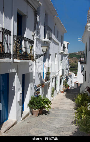 Die weiß getünchten Häuser Frigiliana Costa Del Sol Andalusien Spanien Stockfoto