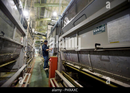 1855 Uematsu, Kaffee Vorgeschmack auf Sauber Kaffee Blumenstock, prüft die Temperatur von Tee in seiner Firma in Shizuoka, Shizuoka Prefecture, Jap getrocknet Stockfoto