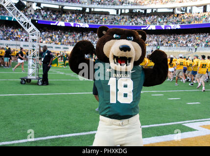 Waco, Texas, USA. 1. Sep 2018. Baylor Bears Maskottchen während der ersten Hälfte des NCAA Football Spiel zwischen der Abilene Christian Wildkatzen und Baylor Bären an McLane Stadion in Waco, Texas. Matthew Lynch/CSM/Alamy leben Nachrichten Stockfoto