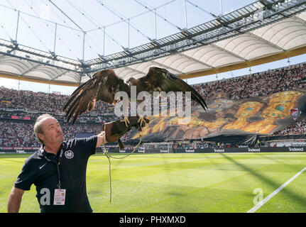 Frankfurt, Deutschland. 01 Sep, 2018. Funktion, Maskottchen Attila die Adler mit seinem Vorgesetzten vor eine Choreographie der Frankfurter Fans, Fußball 1. Fussballbundesliga, 2. Spieltag, Eintracht Frankfurt (F) - SV Werder Bremen (HB), am 01.09.2018 in Frankfurt/Deutschland. ##DFL-Bestimmungen verbieten die Verwendung von Fotografien als Bildsequenzen und/oder quasi-Video## | Verwendung der weltweiten Kredit: dpa/Alamy leben Nachrichten Stockfoto