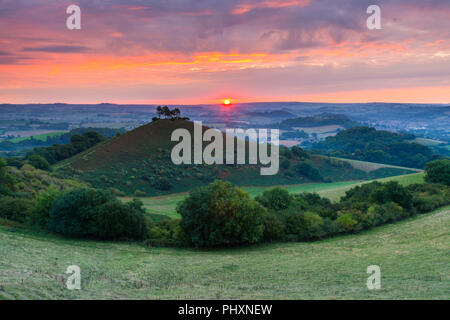 Colmers Hill, Bridport, Dorset, Großbritannien. 3. September 2018. UK Wetter. Ein moody Herbst Sonnenaufgang am Colmers Hill in der Nähe von Bridport in Dorset. Die aufgehende Sonne, die die Cloud orange deaktiviert hat, wird bald verdeckt von einer Bank der dicke Wolke über dem Horizont von einem statischen Wetter vorne über den Südwesten Englands. Foto: Graham Jagd-/Alamy leben Nachrichten Stockfoto